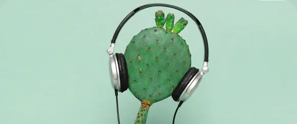 Music Really Does Impact Your House Plants