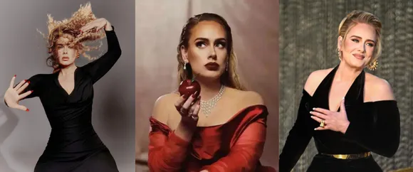 Adele Urged Fans to Stop Hurling Objects at Musicians on Stage