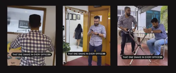 That One Snake in Every Office