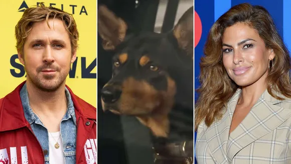 ‘The Fall Guy’ Dog Was Inspired by Eva Mendes' Pet, Hugo