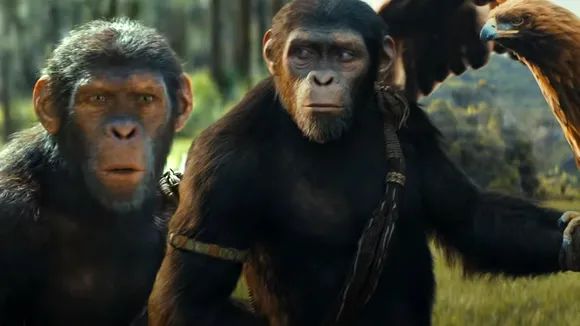 Meet the Main Ape in 'Kingdom of the Planet of the Apes'