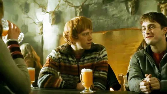 10 Times Harry Potter's Actions Could Have Got Him Expelled From Hogwarts