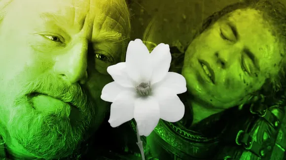 Unravelling the Significance of White Flowers in ‘The Lord of the Rings’