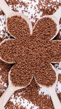 Benefits of flax seeds in summer