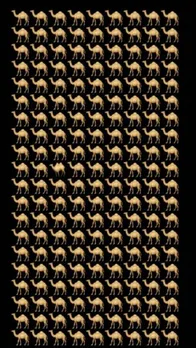 Optical illusion Difference