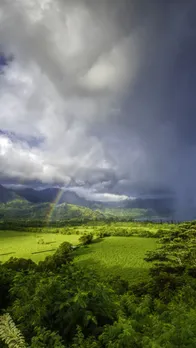 rain