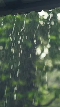 rain 11