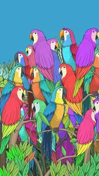 Can You Spot the Hidden Butterfly Among These Parrots in Just 5 Seconds