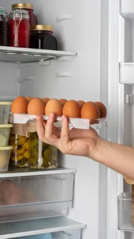 eggs storage technique