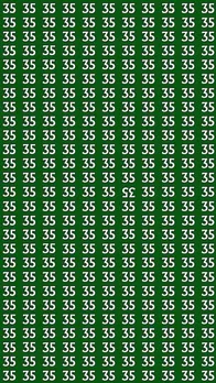 Optical Illusion Can You Spot the Inverted 35 in Just 8 Seconds