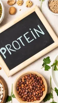 protein diet