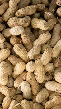 Shocking Side Effects of Eating Too Many Peanuts Daily