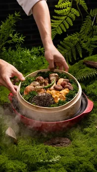 Should Eat Mushrooms in Rainy Season