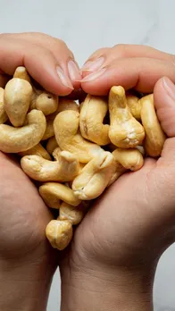 Cashew in Monsoon