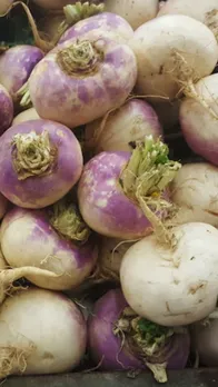 Eating turnip, benefits of turnip