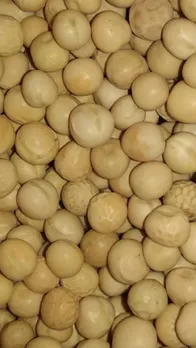 matar dal