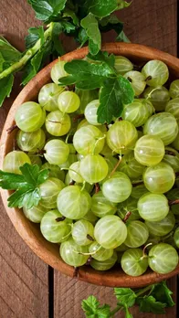 benefits of amla murabba