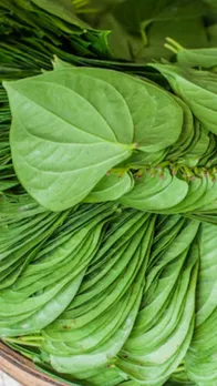 benefits of betel leaf