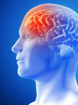 brain health