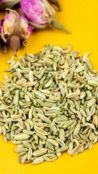 fennel seed