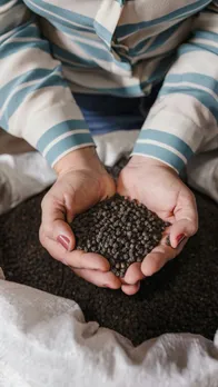 Black Pepper Health Benefits