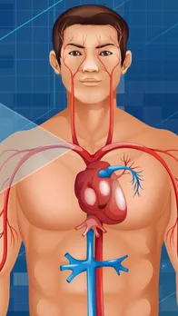 Best foods for heart