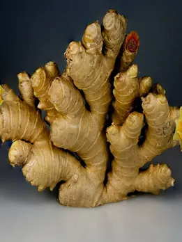 अदरक खाने के फायदे अनेक