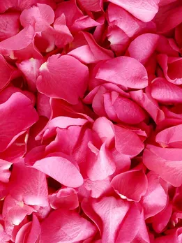 सेहत के लिए बेहद फायदेमंद है गुलकंद