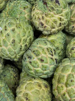 शरीफा खाने के गजब के फायदे