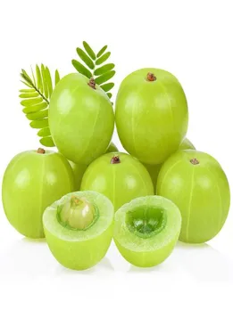 सर्दियों में आंवला है ‘सेहत का खजाना’, जानें कैसे?