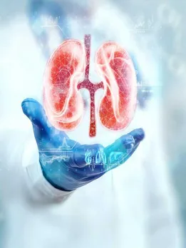 शराब ही नहीं बल्कि ये 5 फूड्स भी बनते हैं किडनी फेल होने के कारण