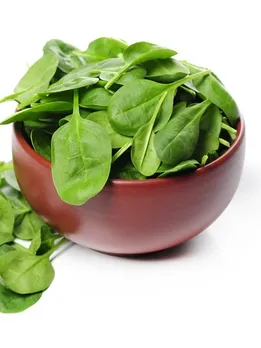 एलर्जी या गैस के मरीज भूलकर भी ना करें पालक का सेवन, इस बीमारी के लोग भी रहें सावधान