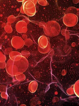 आपकी ऐसी आदतें बढ़ा सकती हैं आपका कोलेस्ट्रॉल लेवल, हो जाएं सावधान