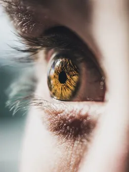 आंखों के लिए बेहद फायदेमंद हैं ये फूड्स