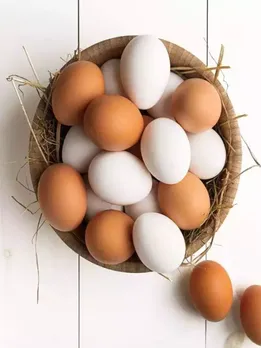 ब्राउन या व्हाइट, कौन सा अंडा है ज्यादा पौष्टिक?