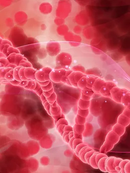 खून से जुड़ी दिक्कतों को दूर कर सकते हैं ये 7 फूड्स