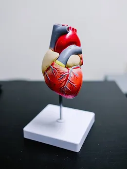 Bad Cholesterol कम करने के लिए सुबह खाली पेट खाएं ये 5 चीज़ें