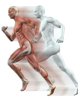 स्टैमिना बढ़ाने में लाभकारी हैं ये फूड्स