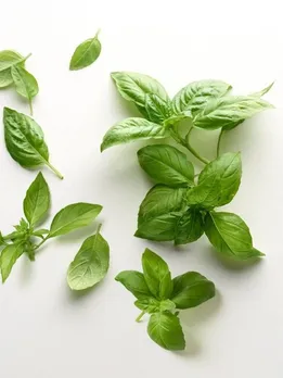 मानसून में इम्युनिटी बूस्ट करने के लिए खाएं तुलसी सहित ये 5 चीजें