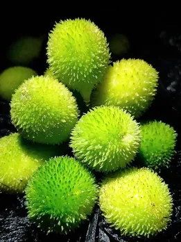 ककोड़ा की सब्जी खाने के ये हैं 5 जबरदस्त फायदे