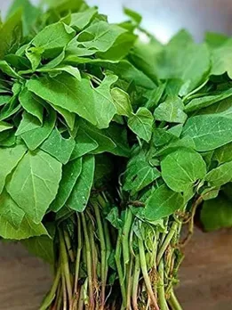 जानिए Diabetes और Cholesterol मरीजों के लिए कैसे फायदेमंद है बथुआ का साग