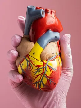 रसोई में मौजूद ये 6 चीजें हार्ट ब्लॉकेज को कर सकते हैं ठीक