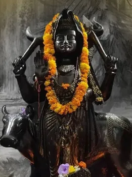 साल 2024 में शनि देव रहेंगे इन 4 राशियों पर मेहरबान, पैसों की कर देंगे बरसात