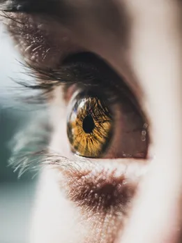 मृत्यु के बाद भी 10 सालों तक जिंदा रहता है शरीर का यह अंग