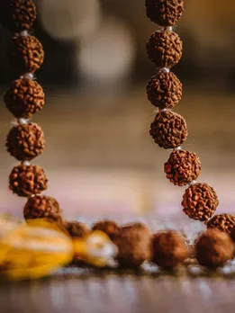 अलग-अलग रुद्राक्ष धारण करने से पहले इन बातों का जरूर रखें ध्यान