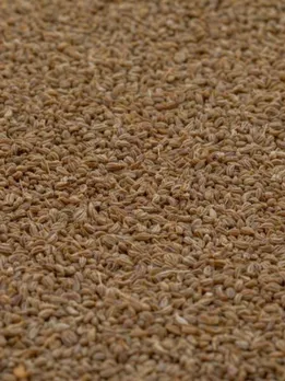 रात में सोने से पहले अगर खा ली ये चीज, फैट कम होने के साथ दूर हो जाएंगी ये समस्याएं