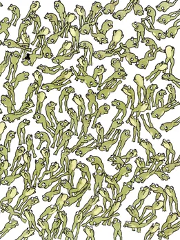 Optical Illusion: क्या आपकी आंखें हैं तेज तो ढूंढ कर दिखाइए इस तस्वीर में कौन सा मेंढक नहीं लगा रहा है छलांग
