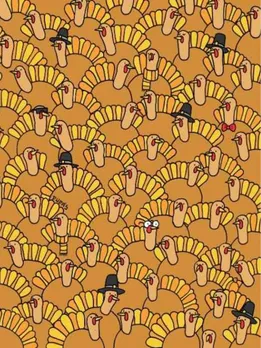 इन Turkeys के बीच छिपा है एक Pumpkin, सिर्फ 1% पैनी नजर वाले ही ढूंढ पाए अब तक