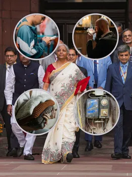 Impact of Budget 2025 on common people