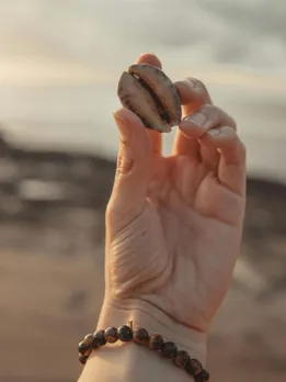 Cowry significance